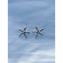 Ladda upp bild till gallerivisning, SEASTAR